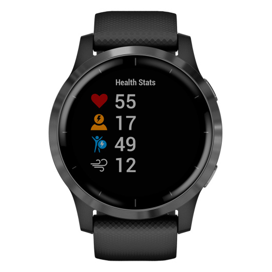 Умные часы Garmin Vivoactive 4 Серый/черный