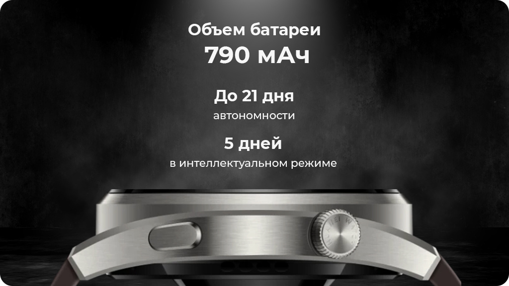 Умные часы Huawei Watch 3 Pro титановый серый